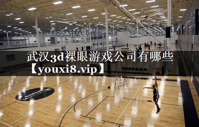 武汉3d裸眼游戏公司有哪些